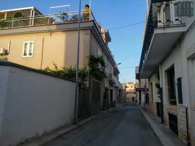 Abbiamo incontrato l'uomo nella sua bottega di via Galilei 13, a Bitritto, l� dove gelosamente conserva quelle che lui definisce le sue �figlie�